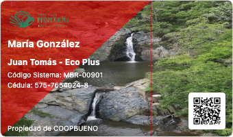 Ejemplo del Carnet - Juan Tomás  - Eco Plus